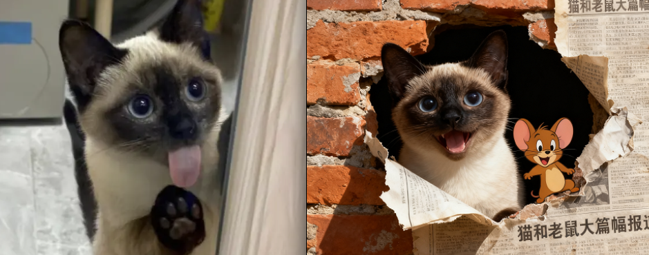 猫和老鼠联动