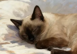 油画卧室宠物熟睡