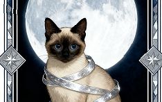 复古魔法卡牌插画