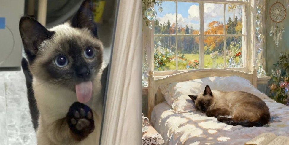 油画卧室宠物熟睡