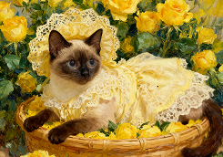 油画宠物黄玫瑰