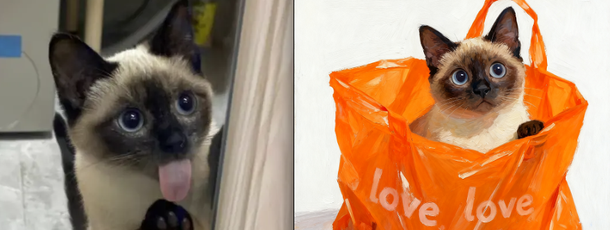 宠物在手提袋里